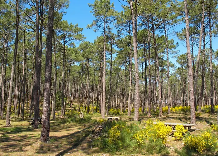 Appartement Jade Et Elena-2 By Interhome